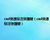 cad快速标注快捷键（cad快速标注快捷键）