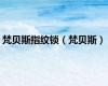 梵贝斯指纹锁（梵贝斯）