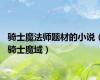 骑士魔法师题材的小说（骑士魔域）