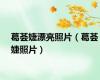 葛荟婕漂亮照片（葛荟婕照片）