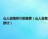 山人自有妙计的意思（山人自有妙计）