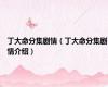 丁大命分集剧情（丁大命分集剧情介绍）