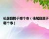 仙居县属于哪个市（仙居县属于哪个市）