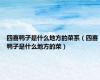四喜鸭子是什么地方的菜系（四喜鸭子是什么地方的菜）