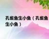 孔雀鱼生小鱼（孔雀鱼生小鱼）