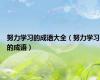 努力学习的成语大全（努力学习的成语）