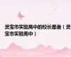 灵宝市实验高中的校长是谁（灵宝市实验高中）