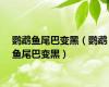 鹦鹉鱼尾巴变黑（鹦鹉鱼尾巴变黑）