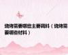 烧烤需要哪些主要调料（烧烤需要哪些材料）