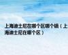 上海迪士尼在哪个区哪个镇（上海迪士尼在哪个区）