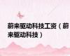 蔚来驱动科技工资（蔚来驱动科技）