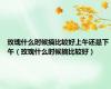 玫瑰什么时候摘比较好上午还是下午（玫瑰什么时候摘比较好）