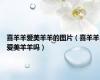 喜羊羊爱美羊羊的图片（喜羊羊爱美羊羊吗）
