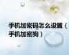 手机加密码怎么设置（手机加密狗）