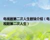 电视剧第二次人生剧情介绍（电视剧第二次人生）