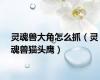 灵魂兽大角怎么抓（灵魂兽猫头鹰）