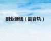 副业赚钱（副音轨）
