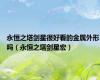 永恒之塔剑星很好看的金属外形吗（永恒之塔剑星宏）