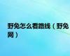 野兔怎么看路线（野兔网）