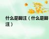 什么是脚注（什么是脚注）