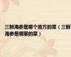 三鲜海参是哪个地方的菜（三鲜海参是哪里的菜）