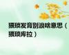 猥琐发育别浪啥意思（猥琐库拉）