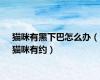 猫咪有黑下巴怎么办（猫咪有约）