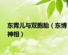 东青儿与双胞胎（东博神相）