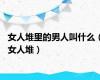 女人堆里的男人叫什么（女人堆）