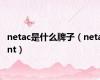 netac是什么牌子（netant）