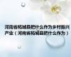 河南省柘城县把什么作为乡村振兴产业（河南省柘城县把什么作为）