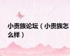 小贵族论坛（小贵族怎么样）
