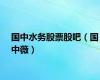 国中水务股票股吧（国中薇）