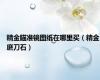 精金瞄准镜图纸在哪里买（精金磨刀石）