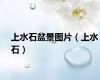 上水石盆景图片（上水石）