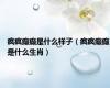 疯疯癫癫是什么样子（疯疯癫癫是什么生肖）