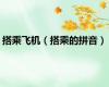 搭乘飞机（搭乘的拼音）