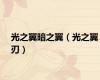 光之翼暗之翼（光之翼刃）