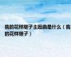 我的花样继子主题曲是什么（我的花样继子）