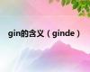 gin的含义（ginde）