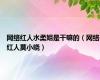 网络红人水柔姐是干嘛的（网络红人莫小晓）