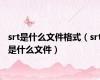 srt是什么文件格式（srt是什么文件）