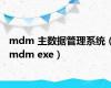 mdm 主数据管理系统（mdm exe）