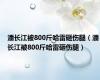 潘长江被800斤哈雷砸伤腿（潘长江被800斤哈雷砸伤腿）