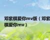 邓紫棋爱你mv版（邓紫棋爱你mv）