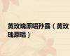 黄玫瑰原唱孙露（黄玫瑰原唱）