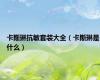 卡斯琳抗敏套装大全（卡斯琳是什么）