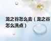 龙之谷怎么去（龙之谷怎么洗点）