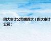 四大审计公司哪四大（四大审计公司）