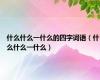 什么什么一什么的四字词语（什么什么一什么）